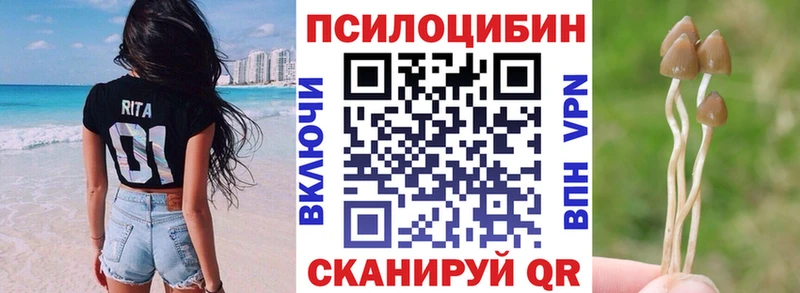 Псилоцибиновые грибы Psilocybe  закладки  Окуловка 